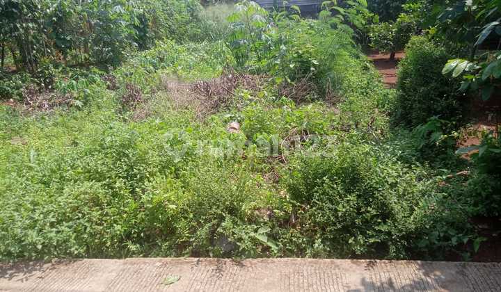 TANAH MURAH DI CIKARANG BARAT, DESA TELAJUNG BEKASI, JAWA BARAT TANAH MURAH DI CIKARANG BARAT, DESA TELAJUNG BEKASI, JAWA BARAT