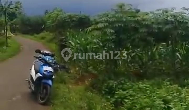 CIAMPEA BOGOR LAND FOR SALE CHEAP CIAMPEA BOGOR LAND FOR SALE CHEAP