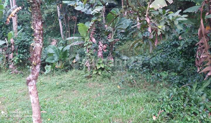 Di Jual Tanah Dan Kolam Di Tamansari , Dekat Hotel Highland Resort Bogor 3
