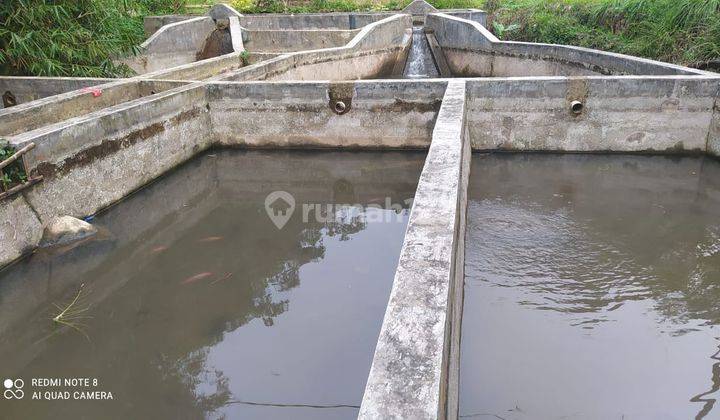 Di Jual Tanah Dan Kolam Di Tamansari , Dekat Hotel Highland Resort Bogor 1
