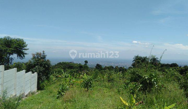 Di Jual Cepat Tanah Ciapus Tamansari, Bogor  4