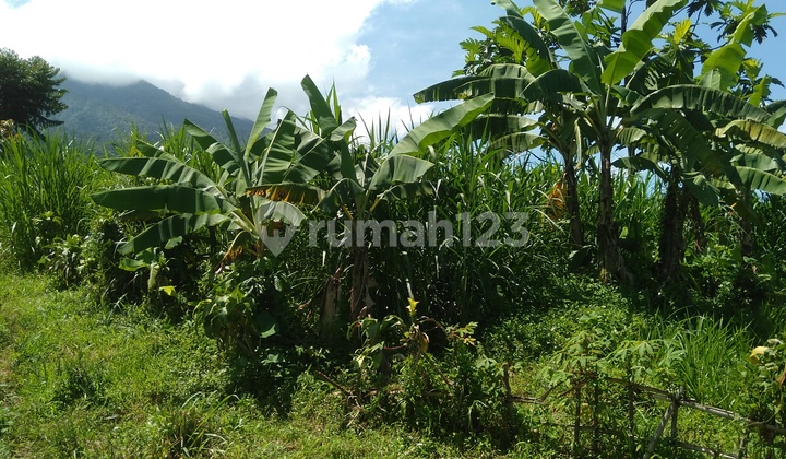 Di Jual Cepat Tanah Ciapus Tamansari, Bogor  8