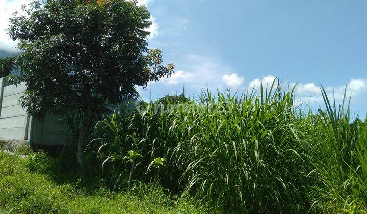 Di Jual Cepat Tanah Ciapus Tamansari, Bogor  9