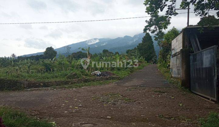 Di Jual Rumah Taman Sari Ciapus Bogor  5
