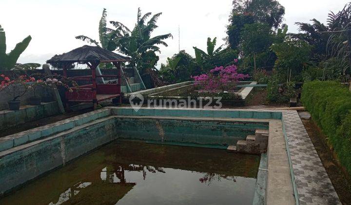 Di Jual Rumah Taman Sari Ciapus Bogor  9