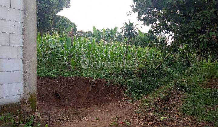 Di Jual Murah Tanah Taman Sari , Bogor  1
