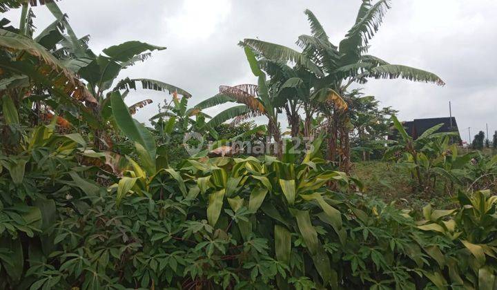 Tanah Di Jual Di Ciapus Taman Sari Bogor  7