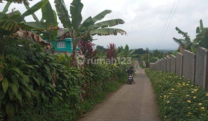 Tanah Di Jual Di Ciapus Taman Sari Bogor  9