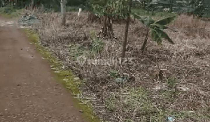 Tanah Jual Tamansari, Bogor 5