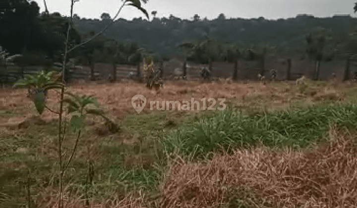 Tanah Jual Tamansari, Bogor 11