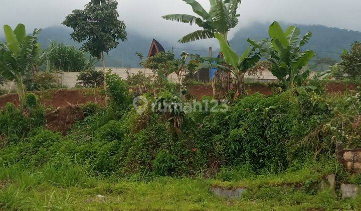 Tanah Jual Di Tamansari, Ciapus Bogor 1