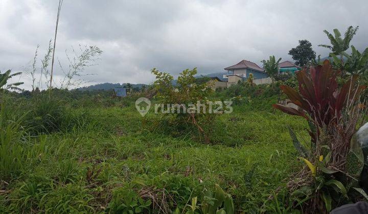 Tanah Jual Di Tamansari, Ciapus Bogor 3