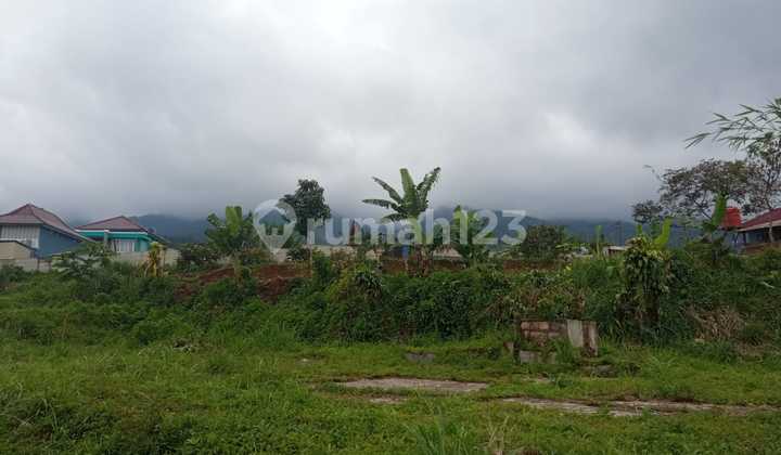 Tanah Jual Di Tamansari, Ciapus Bogor 4