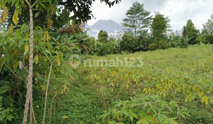 TANAH JUAL MURAH DI TAMANSARI BOGOR TANAH JUAL MURAH DI TAMANSARI BOGOR