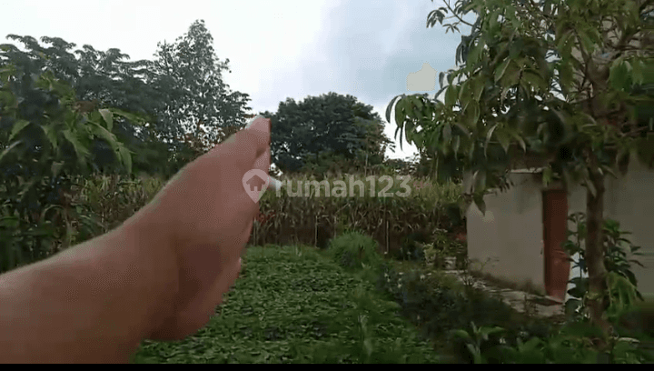 Tanah jual di kabandungan bogor  2