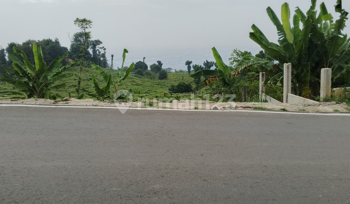 CHEAP LAND  CITEREUP HAMBALANG , BOGOR