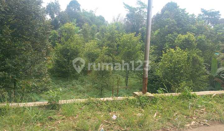 Tanah Murah di Bogor , Tamansari . Jawa Barat