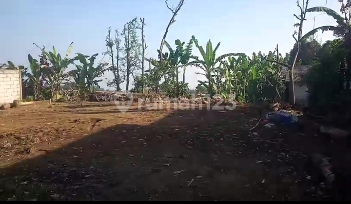 CHEAP LAND IN TAMANSARI, SUKAJAYA BOGOR CHEAP LAND IN TAMANSARI, SUKAJAYA BOGOR