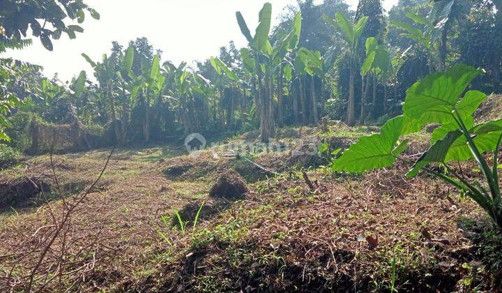 di Jln Raya Tamansari Curug Nangka - Bogor, Bogor 1