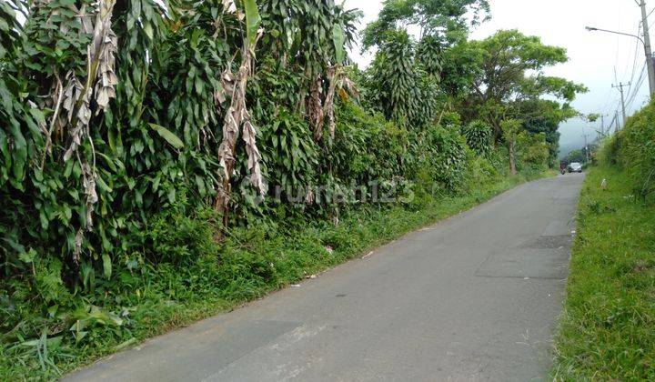 Tanah Ciapus Tamansari Bogor  1