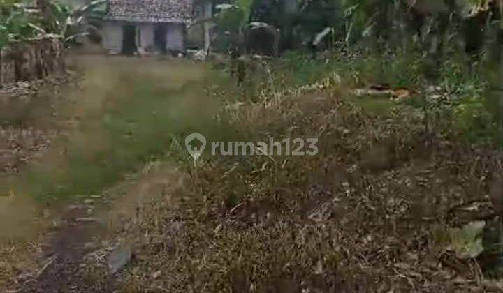 Di Jual Tanah Murah Jln Petir Dramaga , Bogor Jawa Barat 1