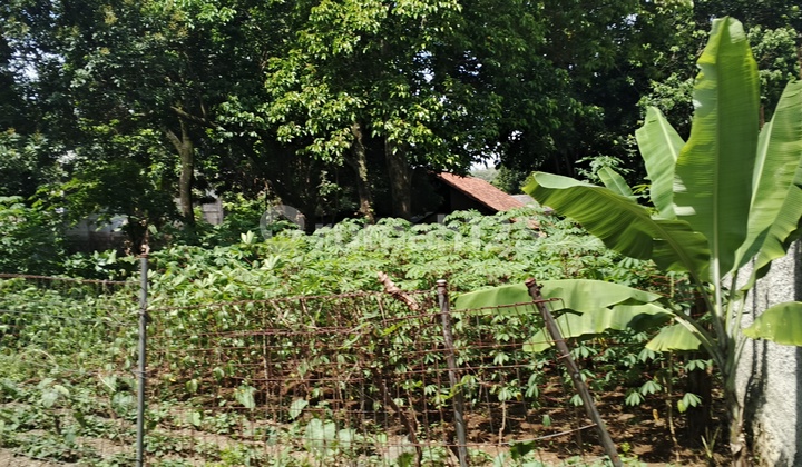 TANAH DEKAT SENTUL CITY, BOGOR 