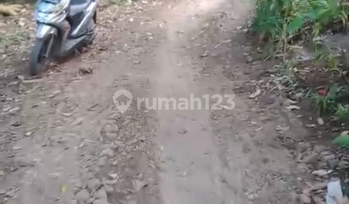 TANAH MURAH DI TAMANSARI SUKAJAYA NAMBO, BOGOR 2