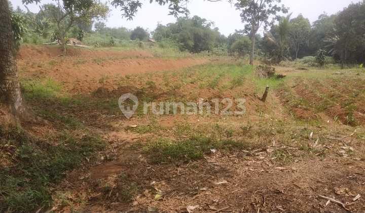 TANAH MURAH DI TAJUR CITEUREUP BOGOR 