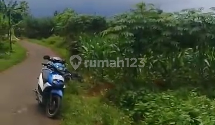 TANAH MURAH CIOMAS BOGOR 