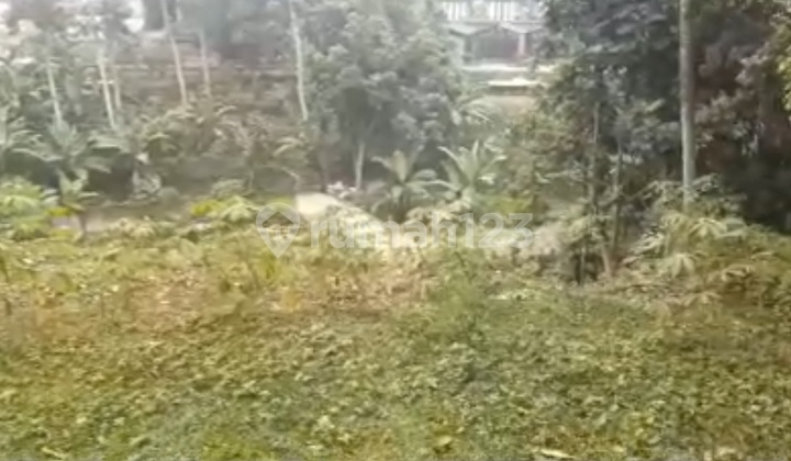 TANAH MURAH DI TAMANSARI BOGOR