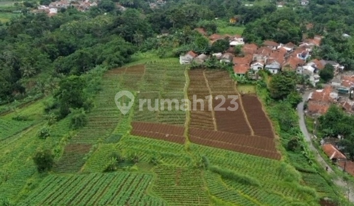 Tanah Bagus Ciomas Bogor