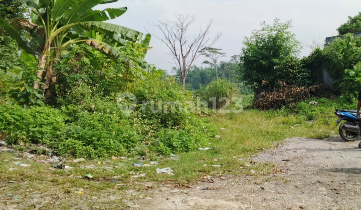 TANAH MURAH SENTUL  BABAKAN MADANG , BOGOR