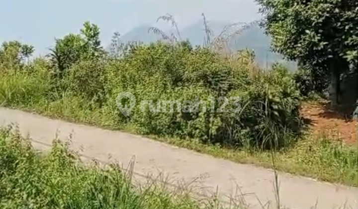 CHEAP LAND IN PABUARAN SUKAMAKUR, BOGOR CHEAP LAND IN PABUARAN SUKAMAKUR, BOGOR