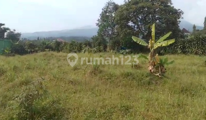 CHEAP LAND CIAMPEA BOGOR CHEAP LAND CIAMPEA BOGOR