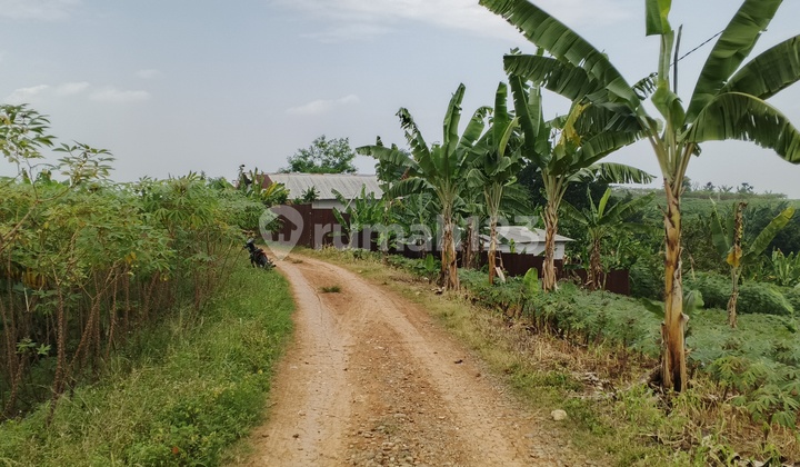 Tanah Murah Dekat Sentul Hambalang , Tankil Bogor