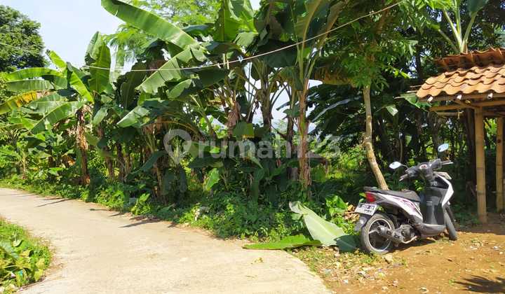 TANAH MURAH PAMIJAHAN BOGOR , JAWA BARAT TANAH MURAH PAMIJAHAN BOGOR , JAWA BARAT