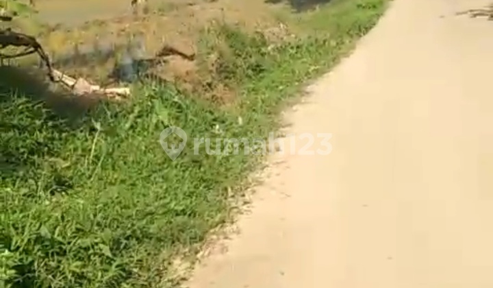 CHEAP LAND, PABUARAN SUKA MAKMUR, BOGOR