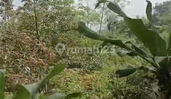 TANAH BOGOR TAMANSARI, DEKAT PURA PARAHYANGAN TANAH BOGOR TAMANSARI, DEKAT PURA PARAHYANGAN