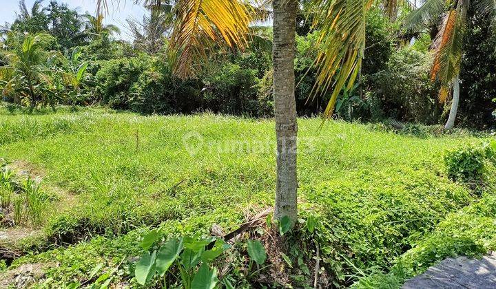 For Sale Quick Land In Berembeng Tabanan 535 m² Sea View And Rice Fields 2