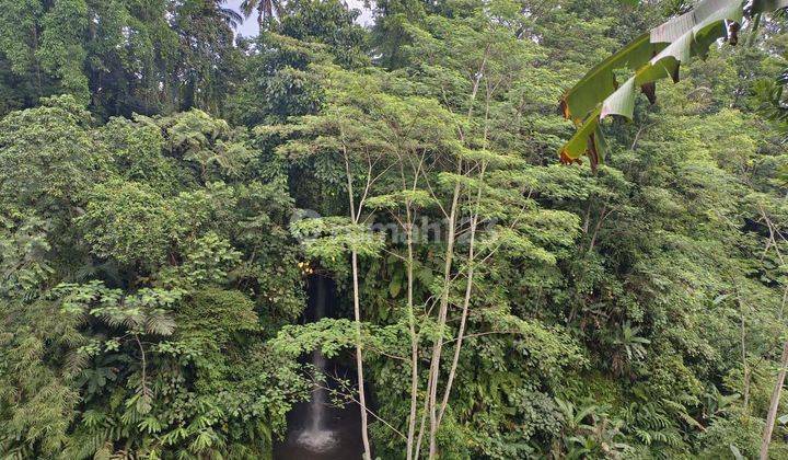 Tanah Langka 1450 m² SHM dengan View Hutan Dan Air Terjun Yg Indah 2