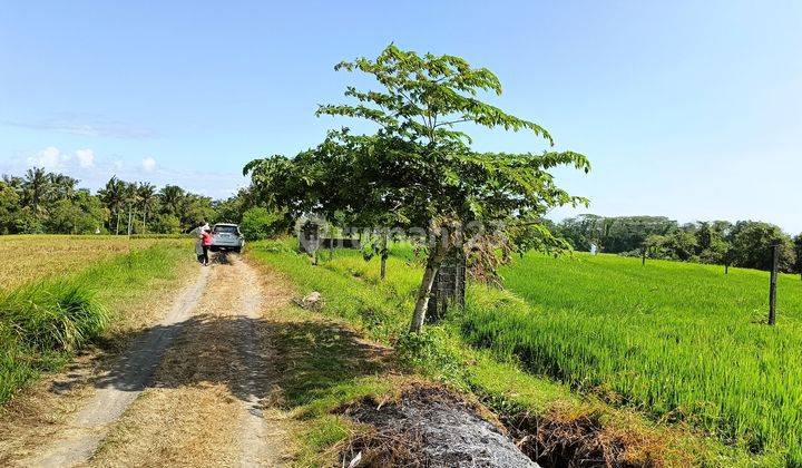 Land SHM Housing Designation Area 1357 m² In Tegal Mengkeb 300m From The Beach 2