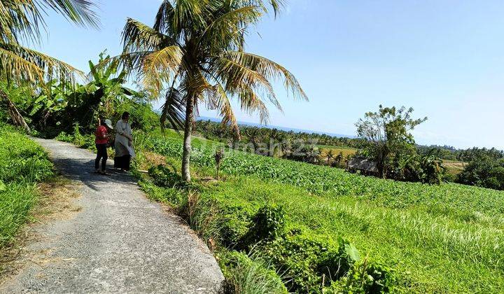 For Sale Quick Land In Berembeng Tabanan 535 m² Sea View And Rice Fields 1