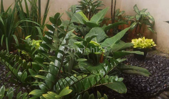 Rumah Nyaman Dan Bagus Belakang Sekolah Penabur Sunrise Garden Jakarta Barat 2