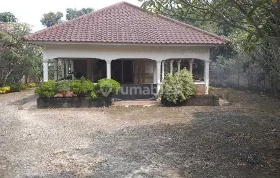 Rumah Tua + Tanah Luas Jalan Raya Utama 4 Lajur Bojong Sari Baru, Depok 1