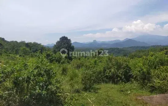 Tanah Lokasi Strategis Cocok dibangun Villa di Cariu, Bogor, Jawa Barat  1