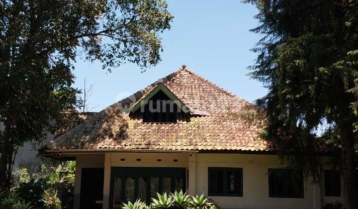  Rumah Klasik Jaman Belanda Tanah Luas bukan Heritage