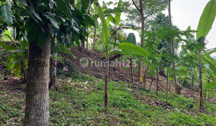 For Sale Tanah di Anyer Pinggir Jalan Raya SHM 3