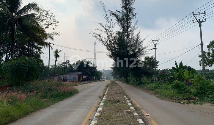 For Sale Tanah di Anyer Pinggir Jalan Raya SHM 7
