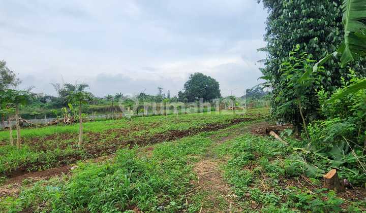 Land Suitable for Housing Construction, Lot Area 11,000 M2, 3 Million/m² Negotiable Land Suitable for Housing Construction, Lot Area 11,000 M2, 3 Million/m² Negotiable