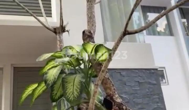 Rumah Minimalis Modern Mahogany Residence Cibubur 2